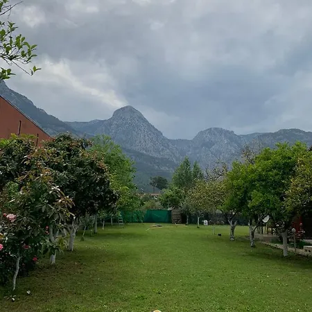 Hotel Bungalov *